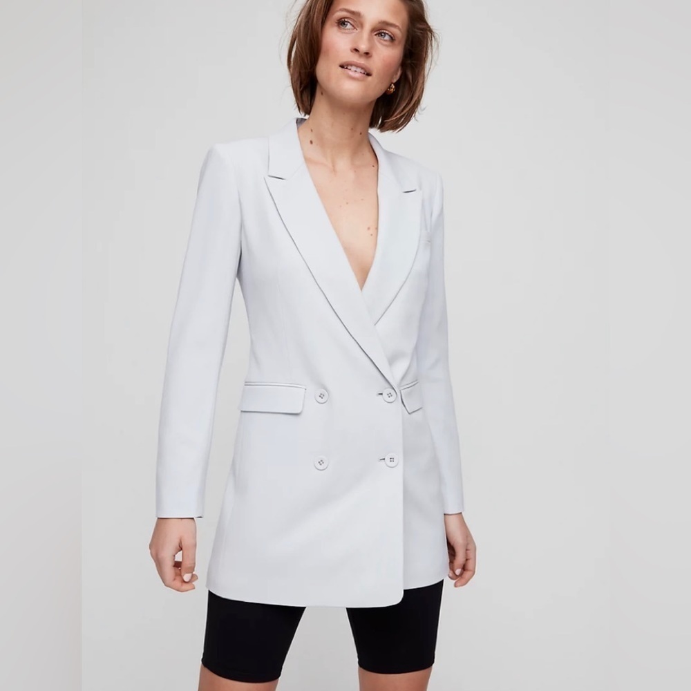 Aritzia Babaton Amell Blazer Dress